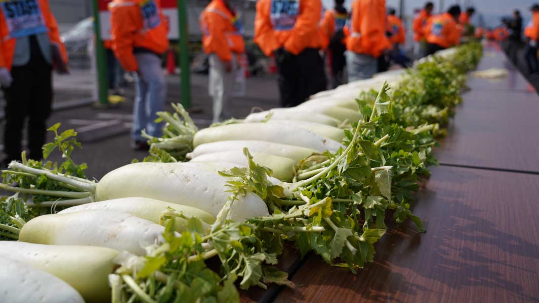 【13,000以上の野菜が並ぶ】最も長い野菜の列でギネス世界記録達成